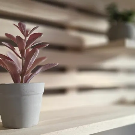 Kwi 34 Eg Küstenwald-igel Apartamento Graal-Mueritz